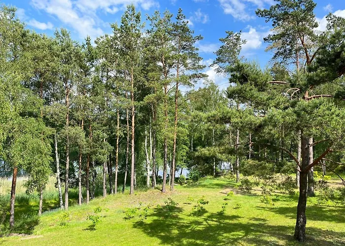 Wiejski Chill * Mecikal